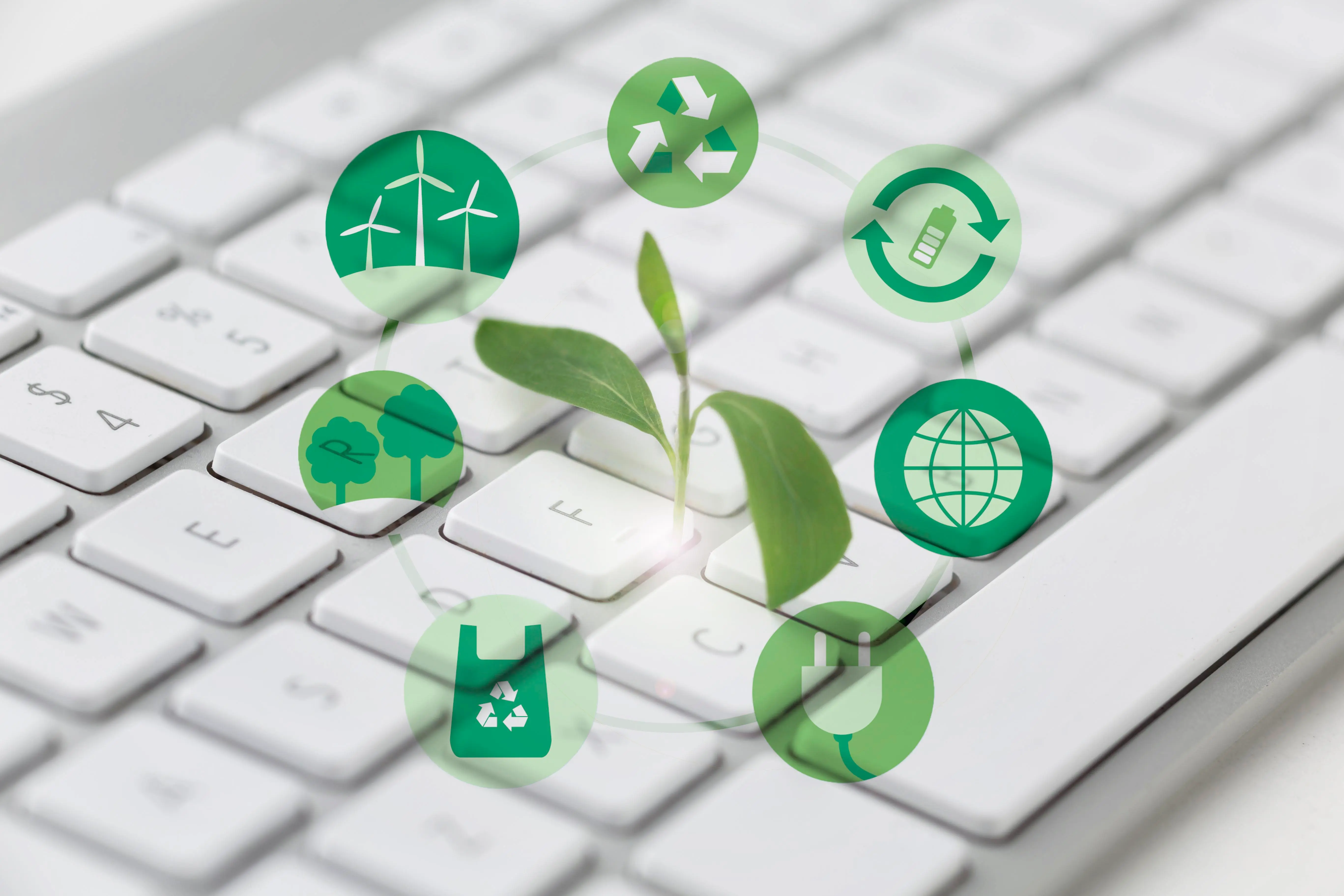 Imagen del proyecto: Tramitación y Documentación Medioambiental